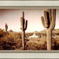 Phoenix Saguaro Cactus