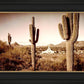 Phoenix Saguaro Cactus