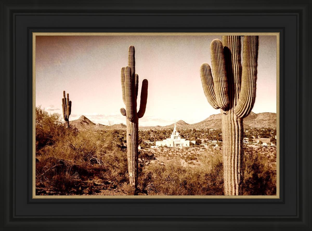 Phoenix Saguaro Cactus