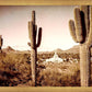 Phoenix Saguaro Cactus