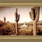 Phoenix Saguaro Cactus