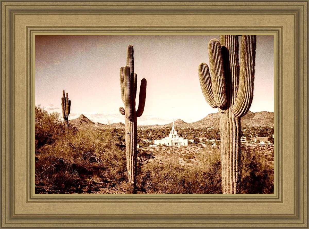 Phoenix Saguaro Cactus