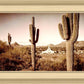Phoenix Saguaro Cactus
