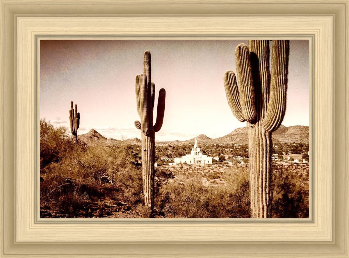 Phoenix Saguaro Cactus