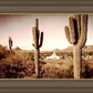Phoenix Saguaro Cactus