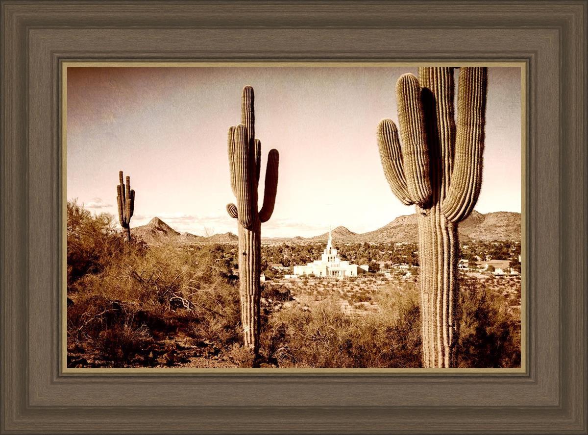 Phoenix Saguaro Cactus