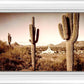 Phoenix Saguaro Cactus