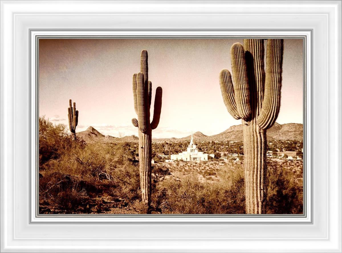Phoenix Saguaro Cactus