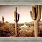 Phoenix Saguaro Cactus
