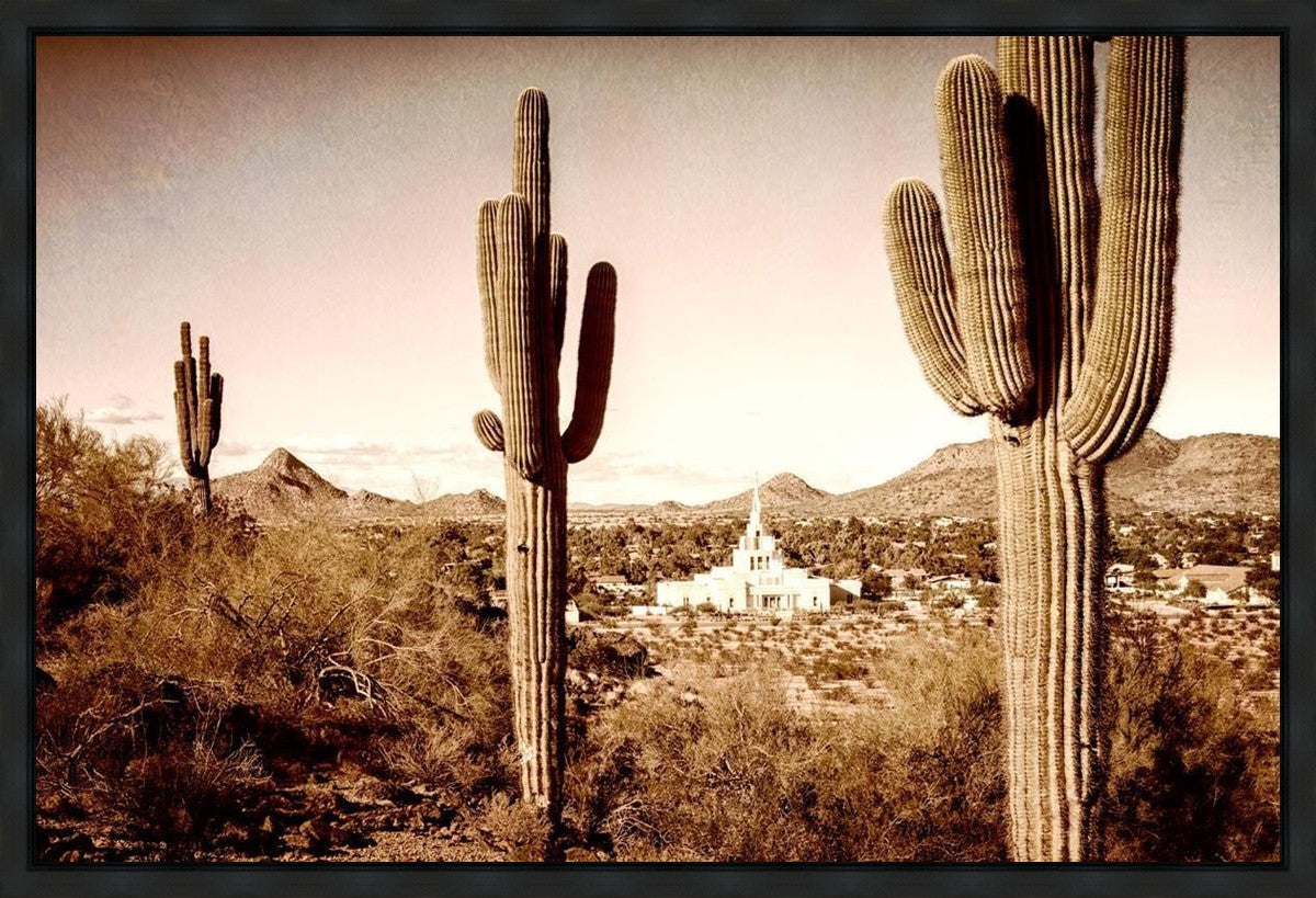 Phoenix Saguaro Cactus Gallery Wrap