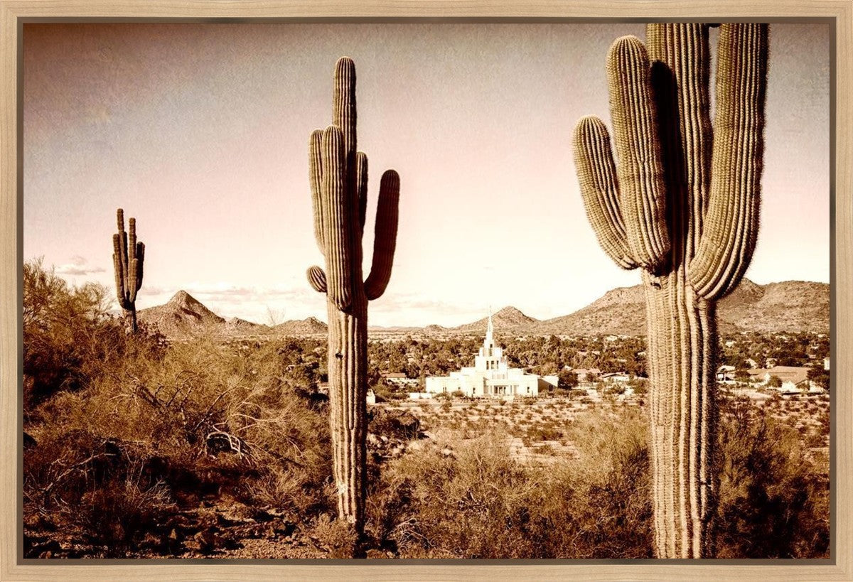 Phoenix Saguaro Cactus Gallery Wrap