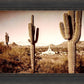 Phoenix Saguaro Cactus