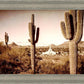 Phoenix Saguaro Cactus