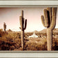 Phoenix Saguaro Cactus