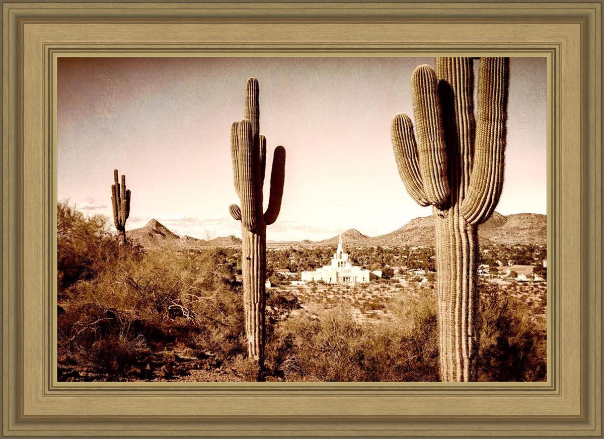Phoenix Saguaro Cactus