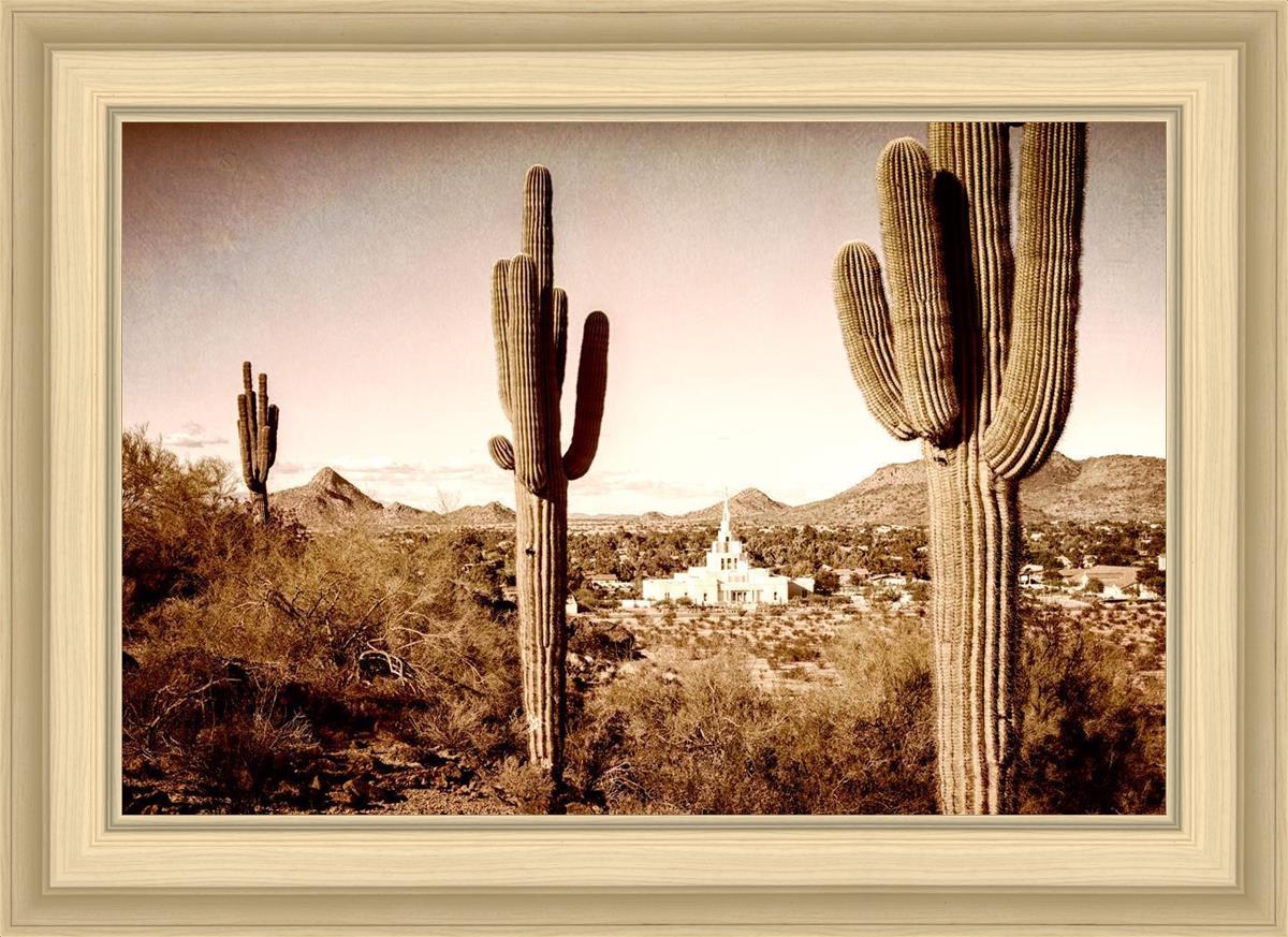 Phoenix Saguaro Cactus