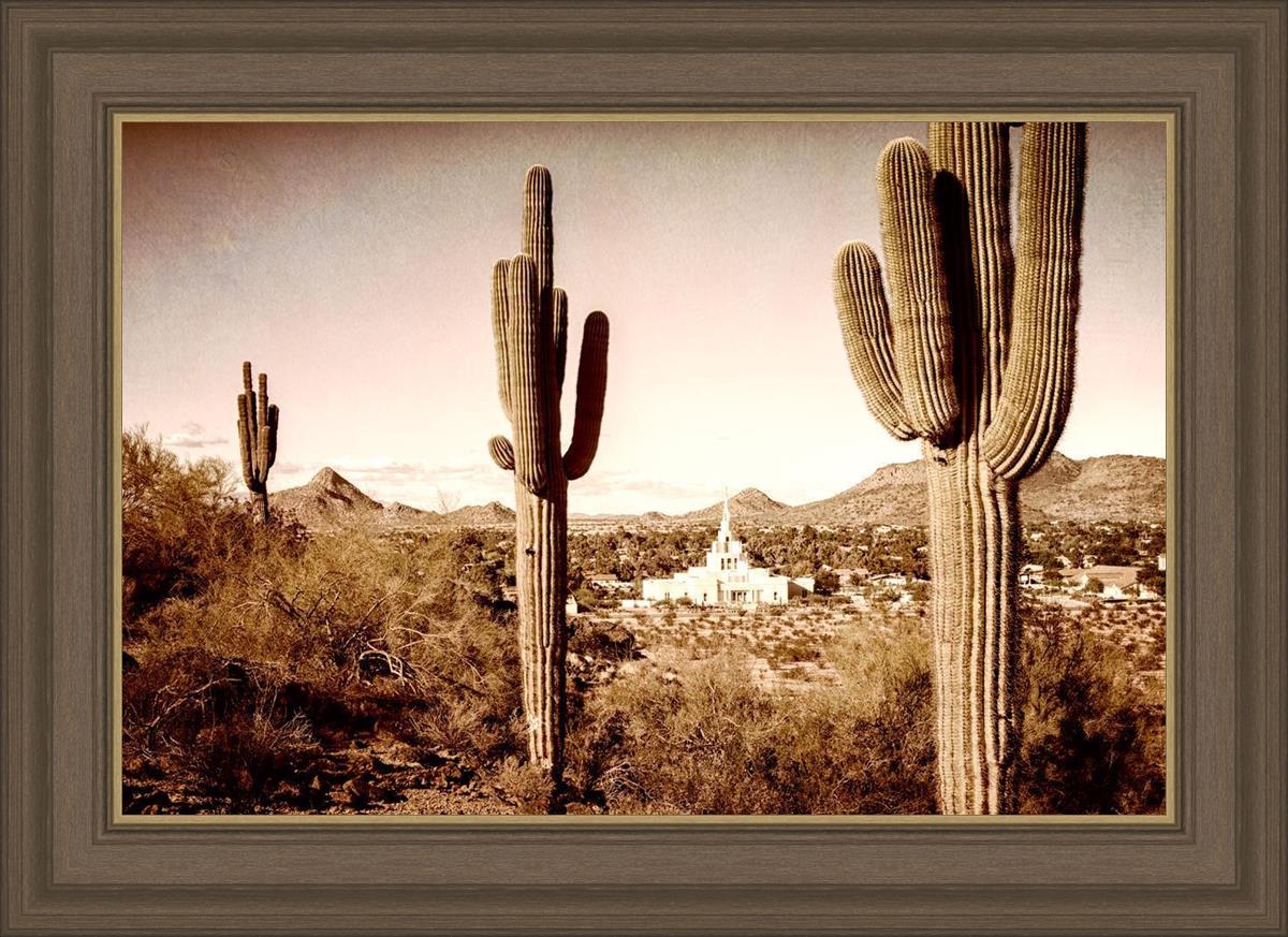 Phoenix Saguaro Cactus