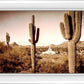 Phoenix Saguaro Cactus