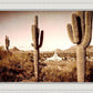 Phoenix Saguaro Cactus