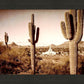 Phoenix Saguaro Cactus