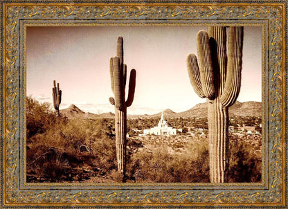 Phoenix Saguaro Cactus