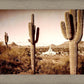 Phoenix Saguaro Cactus