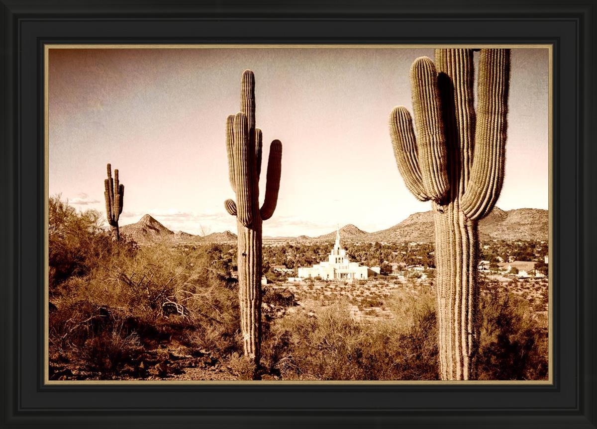 Phoenix Saguaro Cactus
