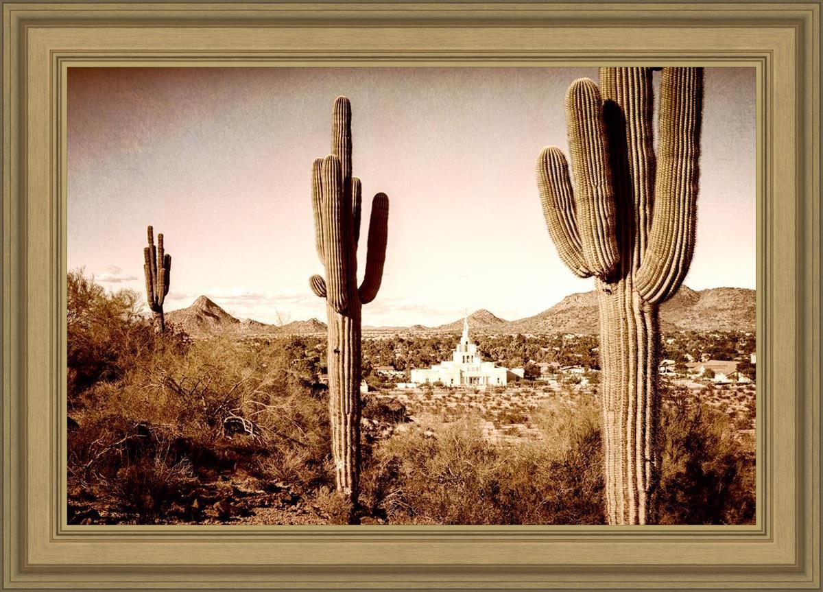 Phoenix Saguaro Cactus
