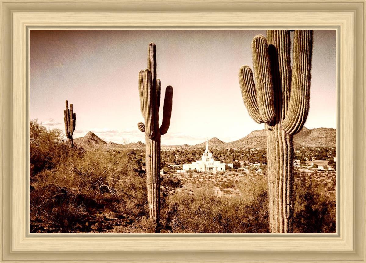 Phoenix Saguaro Cactus