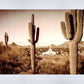 Phoenix Saguaro Cactus