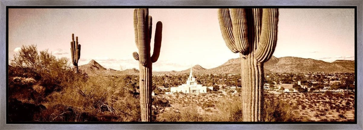 Phoenix Saguaro Cactus Gallery Wrap
