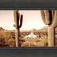 Phoenix Saguaro Cactus