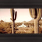 Phoenix Saguaro Cactus