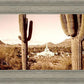 Phoenix Saguaro Cactus