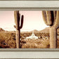 Phoenix Saguaro Cactus