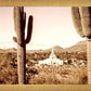 Phoenix Saguaro Cactus