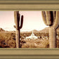Phoenix Saguaro Cactus