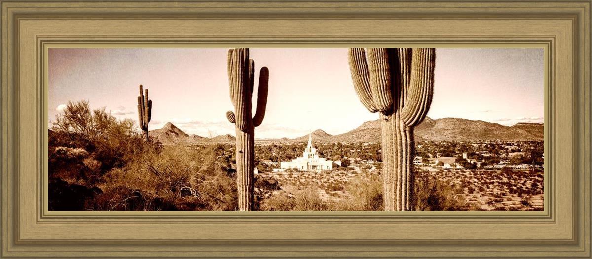 Phoenix Saguaro Cactus