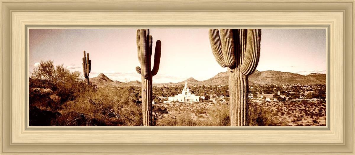 Phoenix Saguaro Cactus
