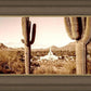 Phoenix Saguaro Cactus