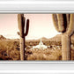 Phoenix Saguaro Cactus