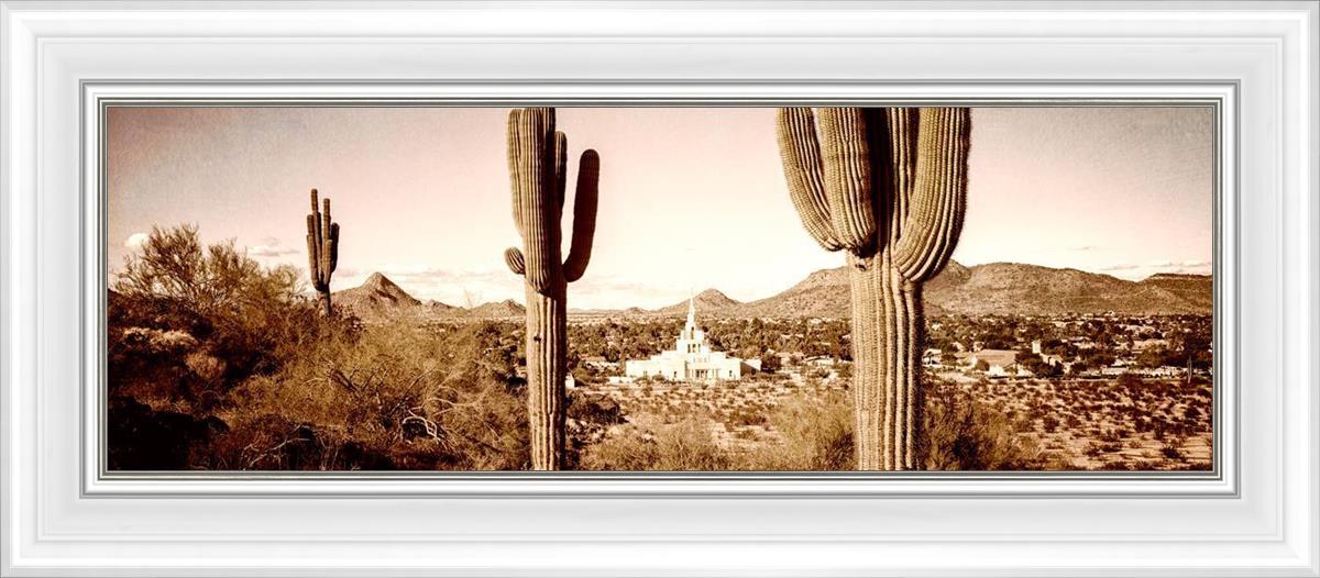 Phoenix Saguaro Cactus