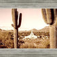 Phoenix Saguaro Cactus