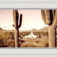 Phoenix Saguaro Cactus