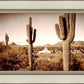 Phoenix Saguaro Cactus
