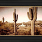 Phoenix Saguaro Cactus