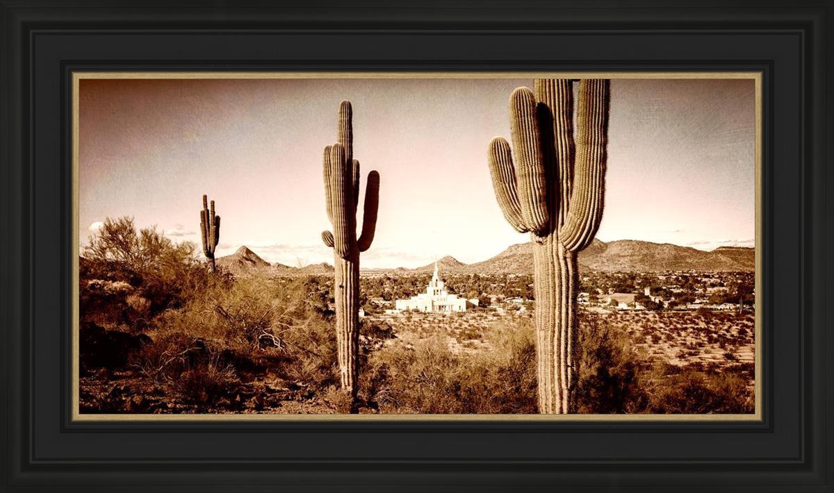 Phoenix Saguaro Cactus