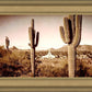 Phoenix Saguaro Cactus