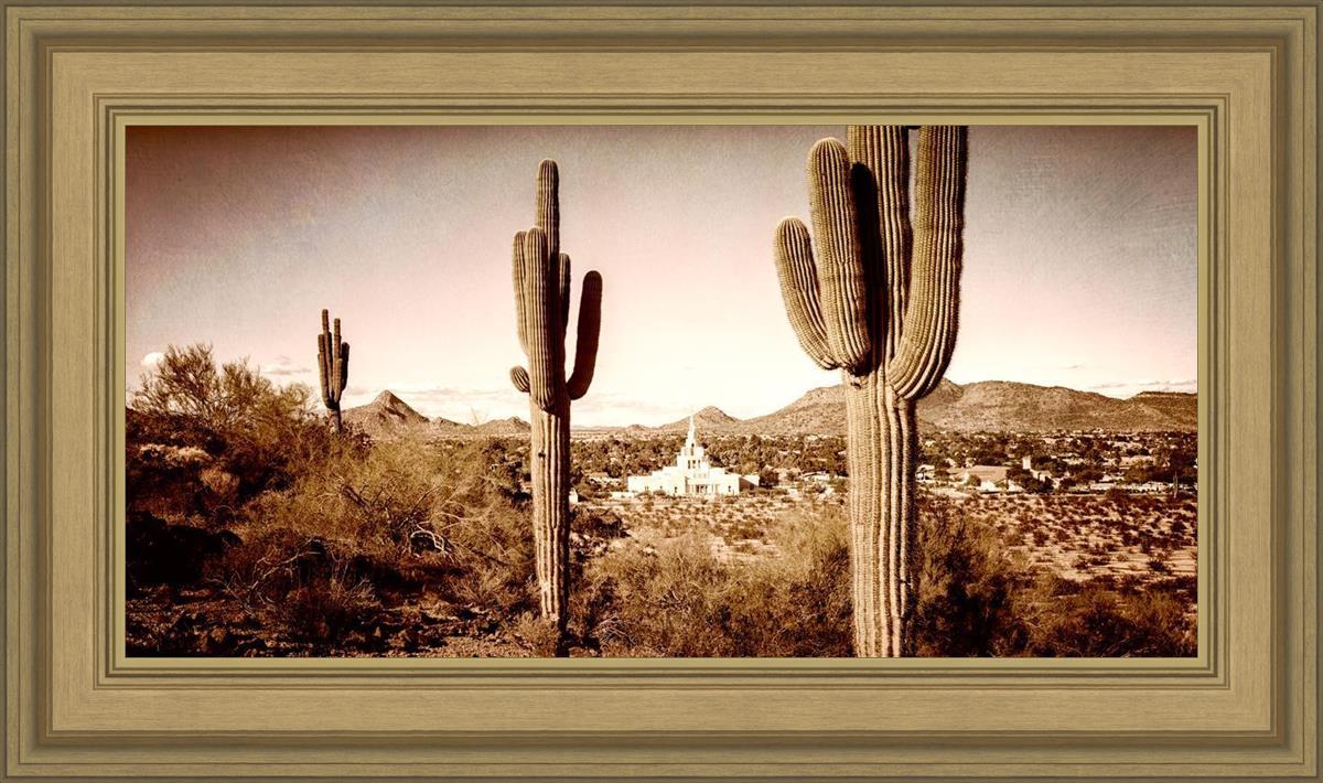 Phoenix Saguaro Cactus