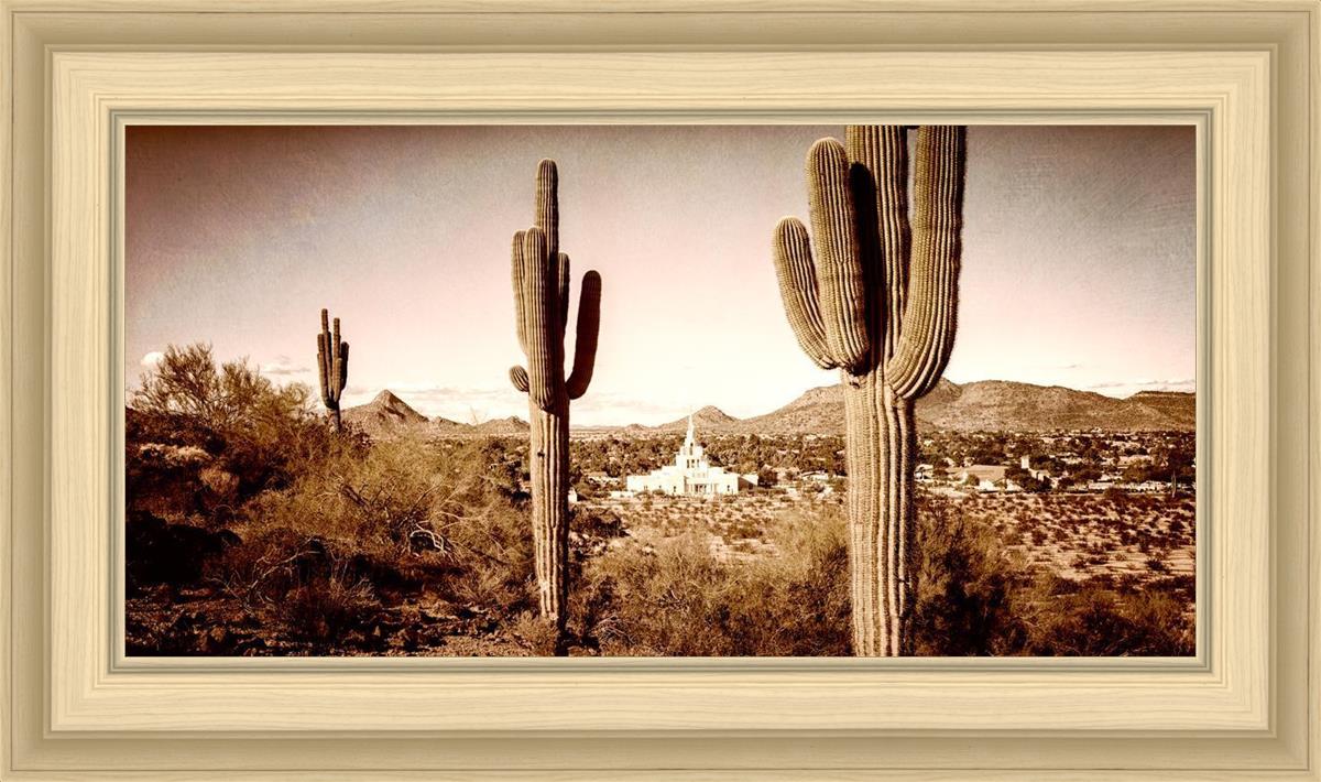 Phoenix Saguaro Cactus